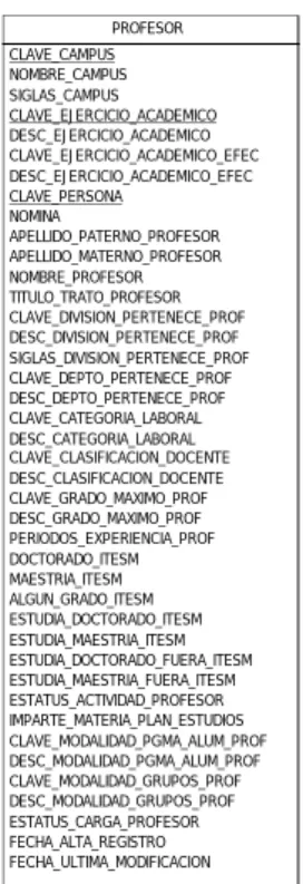 Figura 4-3 Tabla Profesor del Data Warehouse del área de escolar. 