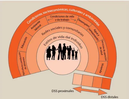 Figura 1. Modelo de determinantes sociales de la salud de Whitehead y Dälgren, 1992. 