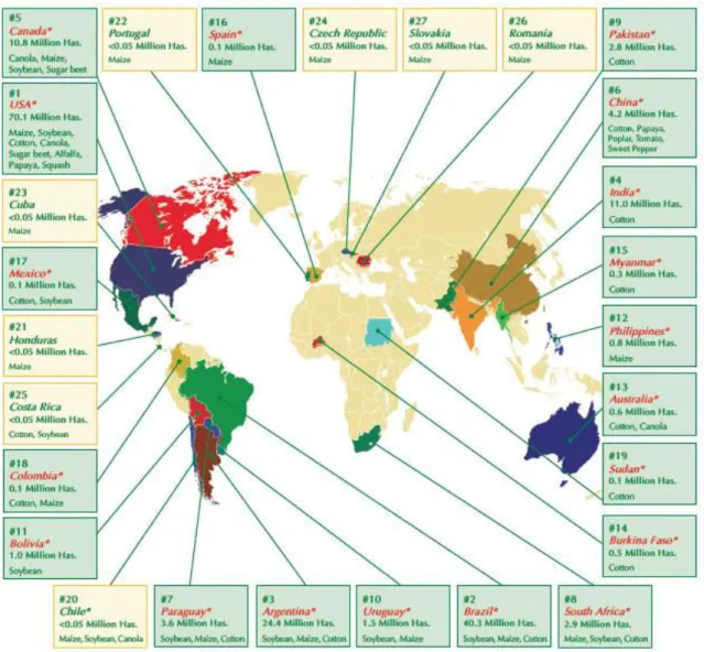 Figura 3. Superficie mundial de cultivos transgénicos 