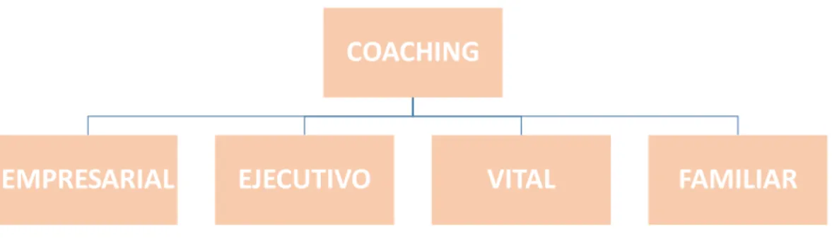 Figura 1 : Tipos de Coaching. 