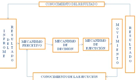 Figura 7. Modelo de ejecución motriz de Marteniuk 