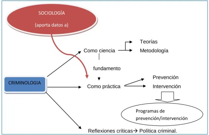 Gráfico 4 