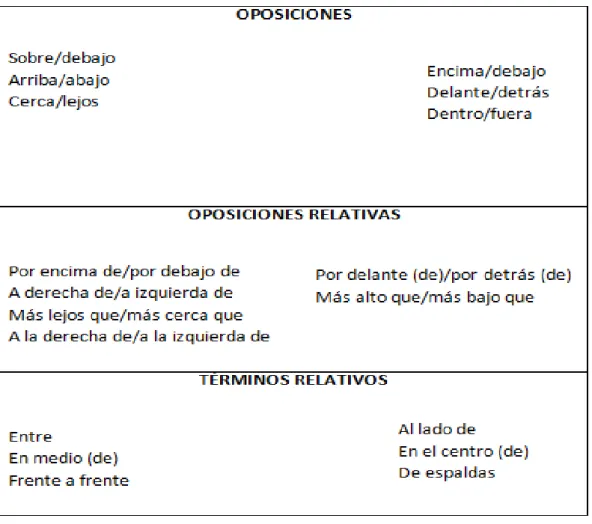 Tabla 2: conceptos proyectivos agrupados en oposiciones, oposiciones relativas  y términos relativos