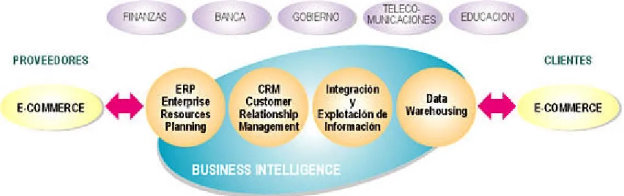 Figura 3.3 Estructura de las soluciones BITAM 