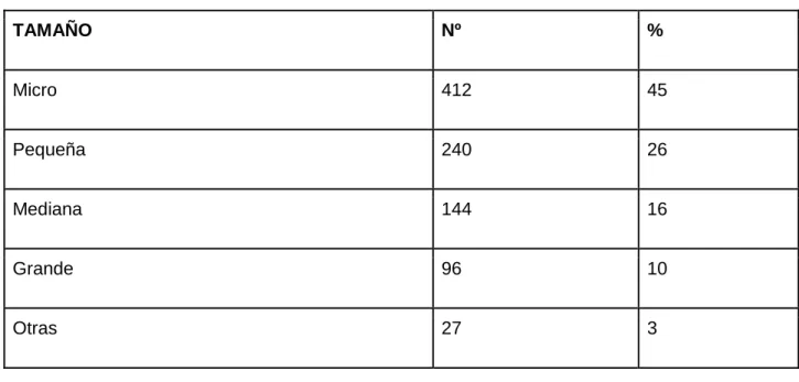 Tabla 4. Tipo de entidad según su tamaño. 
