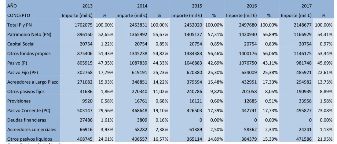 Tabla 8. % verticales del pasivo y patrimonio neto (2013-2017). 