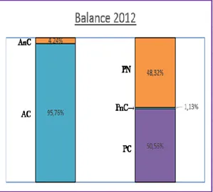 Figura 2. Balance año 2012. 