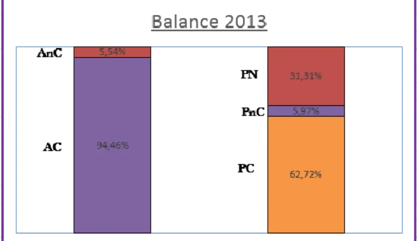 Figura 3. Balance año 2013. 
