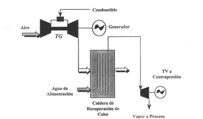 Figura 7. Esquema de ciclo combinado