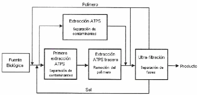 Figura  1  Diagrama  general  de  un  proceso  de  recuperación  por  sistema  de  dos  fases  acuosas  (Rito- (Rito-Palomares, 2004)