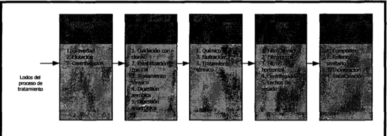 Fig. 2.2. Alternativas para las operaciones y procesos unitarios para el proceso y disposición de lodos (Qasim, 1985)