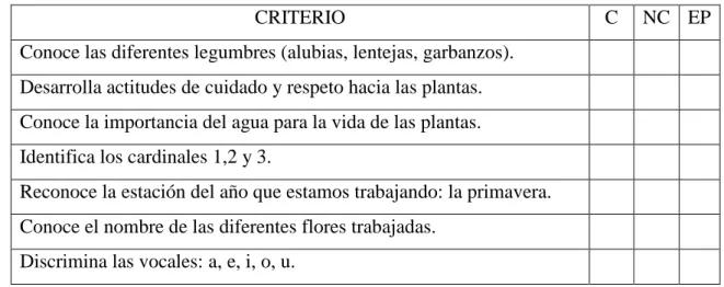 Figura 1: Rubrica de evaluación de la primavera 