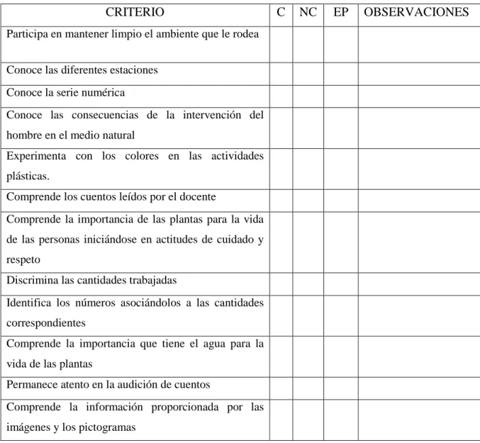 Figura 5: Rubrica general de evaluación. 