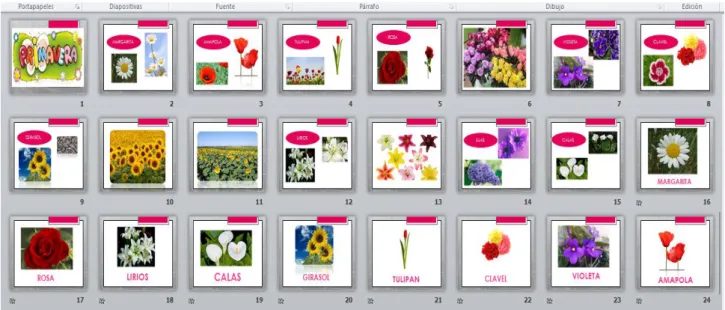 Figura 13: Power point sobre los distintos tipos de flores 