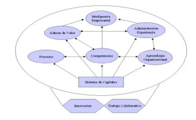 Figura 10. Modelo de Apoyo