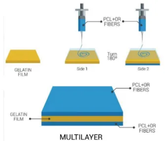 Figure 1. Scheme of the multilayer system (PCL+OR)-GEL-(PCL+OR).
