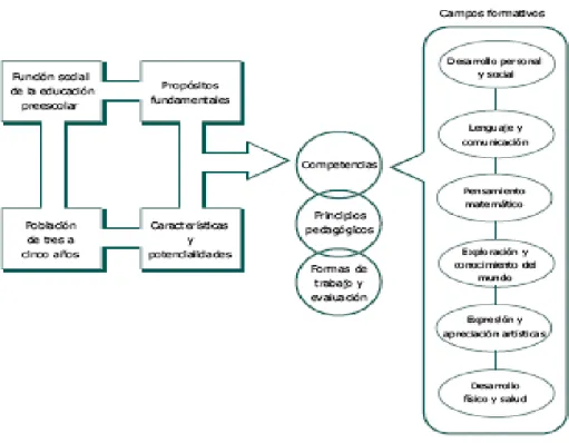 Figura 1. Organización del programa de Educación Preescolar (SEP, 2004). 
