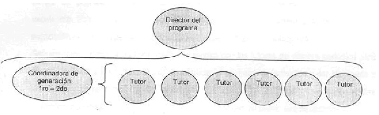 Figura 7. Estructura del Programa de tutoreo en Campus Cumbres 