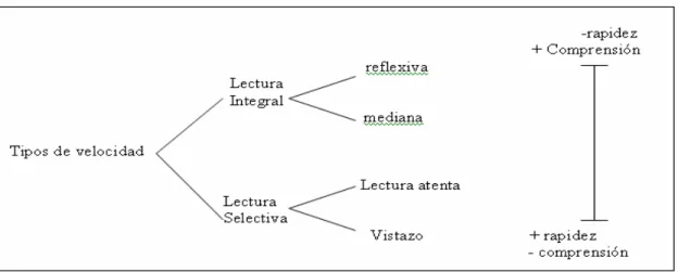 Fig. 2.1. Clasificación de los tipos de lectura. 
