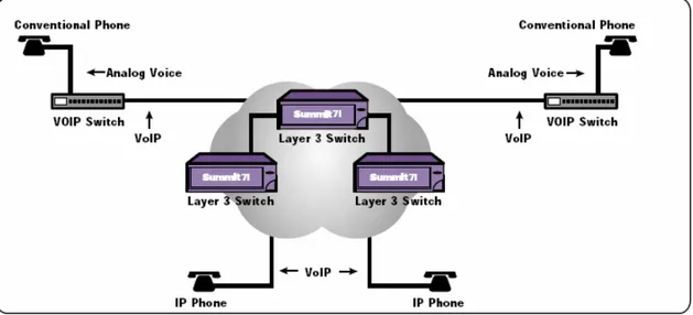 Fig. 3.3 Red de VoIP (Fuente Understanding Voice over IP  Protocols, Cisco Systems, Febrero de 2002