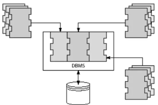 Figura 2.3 Un DBMS Configurable [DITT00]