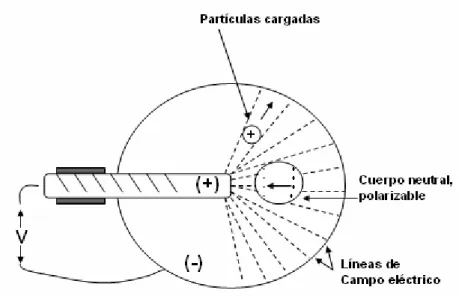 Figura 3. Comparación de la electroforesis con la dielectroforesis (Pohl y Hawk, 1966)