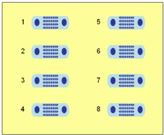 Figura 21. Distribución de los ocho canales de un microdispositivo elaborado en vidrio