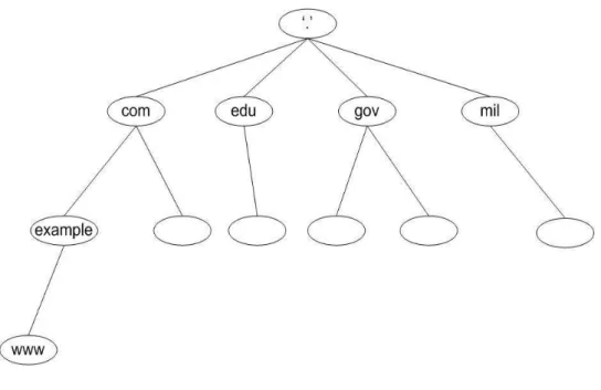 Figura 2.1: Estructura Jer´ arquica DNS