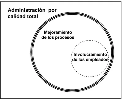 Figura 4. La Administración por calidad total y el  involucramiento de los empleados 