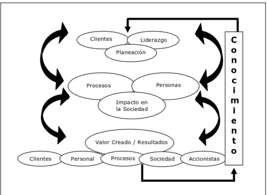 Figura 8. Modelo Nacional para la Calidad Total 