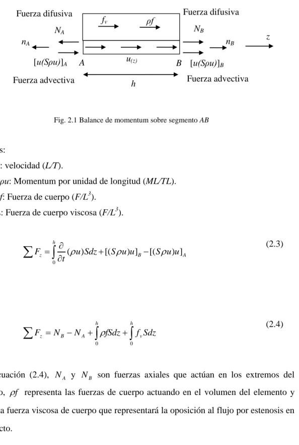 Fig. 2.1 Balance de momentum sobre segmento AB 