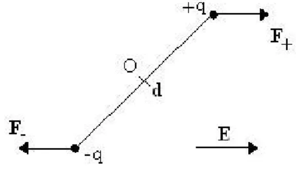 Figura 2.2: Efecto de rotaci´ on sobre un dipolo el´ ectrico