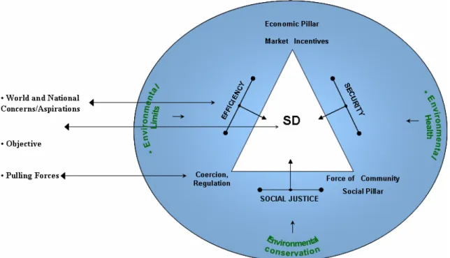 Fig. 3.6 The Sustainable Development Trilemma Triangle 