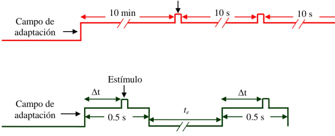 Figura  2.  Secuencia  temporal.  a)  Secuencia  temporal  para  la  condición  estable  (LA)