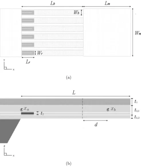 Figura 4.2: Dise˜ no estructural del microespejo. (a) Patr´on geom´etrico (b) Corte longitudinal