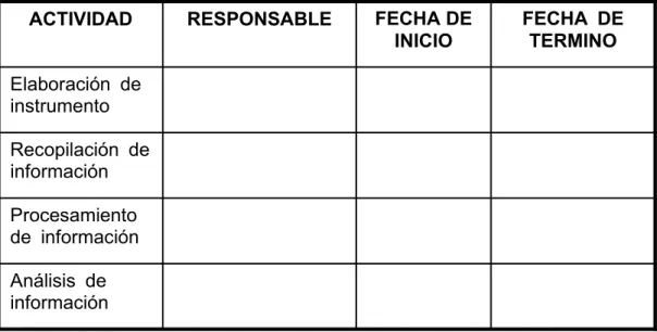 Figura 8 Control de planes de acción 