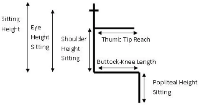 Figure 1: Generic skeleton for an aircraft pilot.