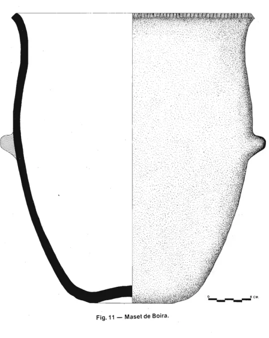 Fig. 11  - Maset de Boira. 