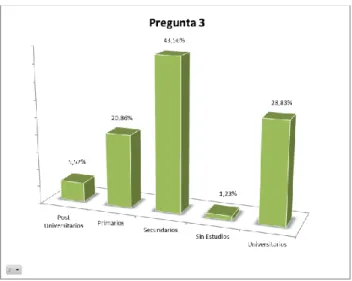 Gráfico 3: Nivel de estudios de los encuestados 