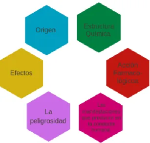 Tabla 1.3.: Clasificación de las drogas según los efectos en el SNC. 