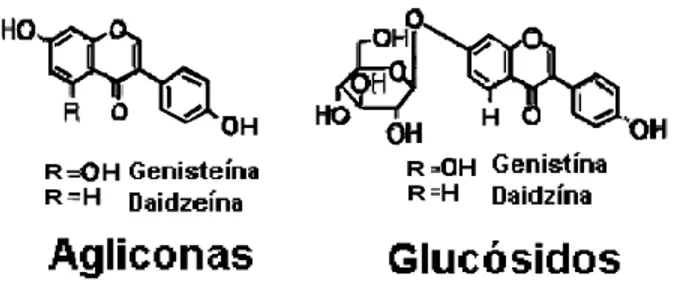 Figura 2.5.    Tasa de absorción de las formas agliconas y glicosiladas de los flavonoides   (Izumi et al, 2000)