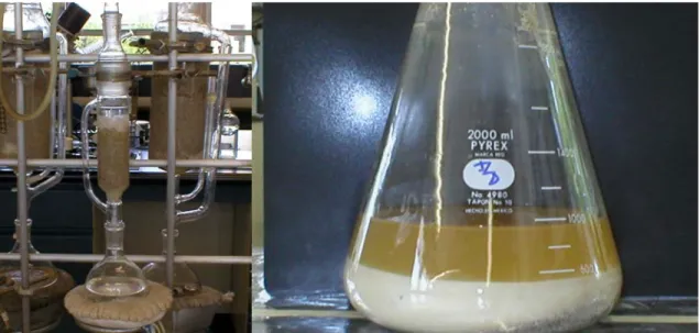 Figura 3.1.  A la izquierda, sistema Soxhlet utilizado en la extracción de compuestos fenólicos de la  harina de frijol