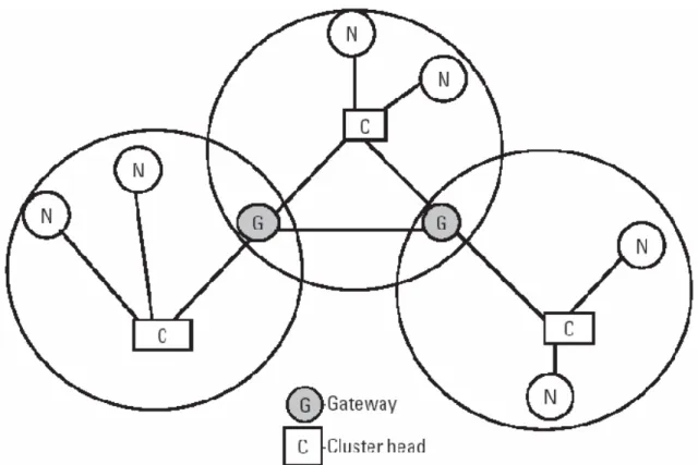 Figure 2.3: Clustered architecture of an ad-hoc wireless network. 