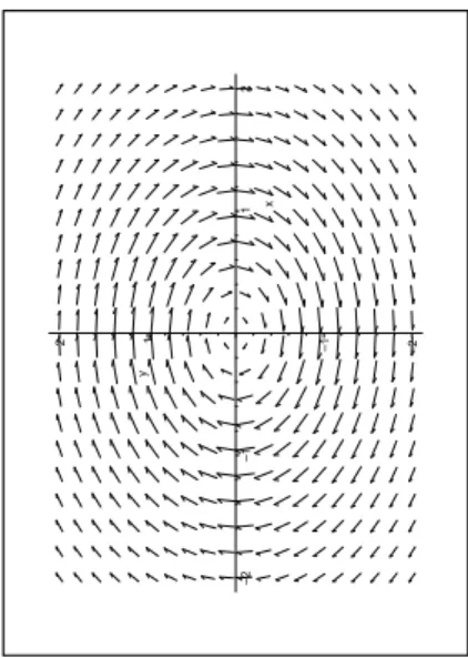 Figura 2: El campo v(x, y) se vizualiza como un conjunto de vectores cuyos or´ıgenes coinciden con cada uno de los puntos (x, y) del plano