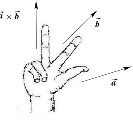 Fig. 2.13. Regla de la mano derecha.