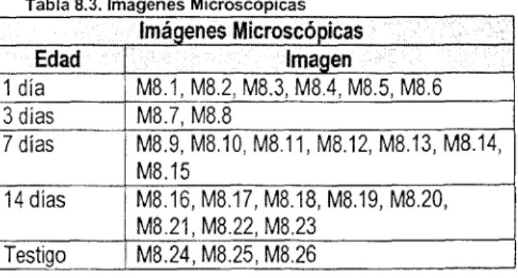Tabla 8.3. imágenes Microscópicas