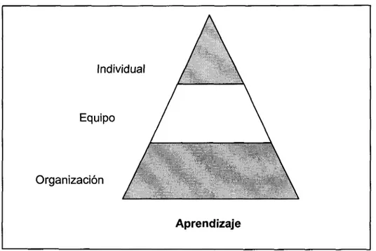 Figura 2.1 Niveles de aprendizaje, Marquardt (1996).