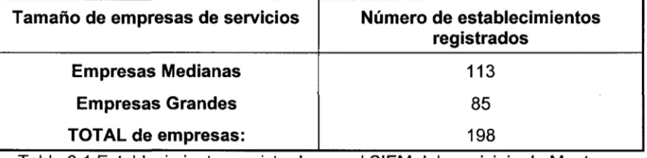 Tabla 3.1 Establecimientos registrados en el SIEM del municipio de Monterrey, Nuevo León.
