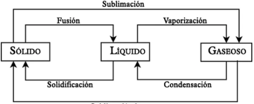 Figura 2.1. Procesos de Cambio de Fase 
