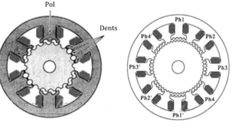 Figura 10: Motor híbrid (esquerra) i rotor d'un motor híbrid pas a pas, distribució de la  polarització (dreta)